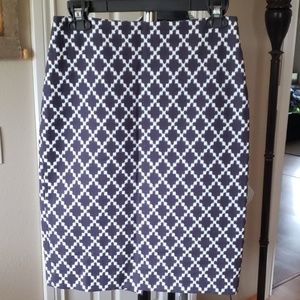Ann Taylor Womens Sz 2 Printed Blue Skirt